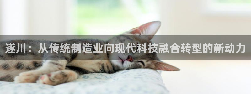 意昂3娱乐下载