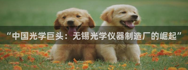 意昂体育3：“中国光学巨头：无锡光学仪器制造厂的崛起”