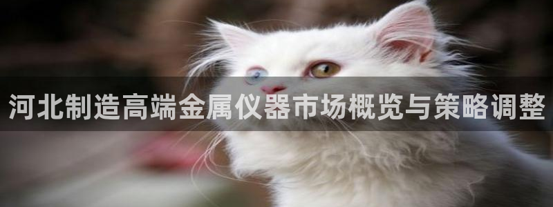 意昂体育3注册：河北制造高端金属仪器市场概览与策略调整