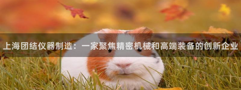 海南意昂体育3：上海团结仪器制造：一家聚焦精密机械和高端装备