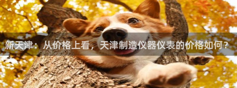 德国意昂3集团：新天津：从价格上看，天津制造仪器仪表的价格如