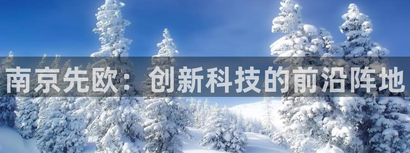 意昂体育3平台假的吗是真的吗：南京先欧：创新科技的前沿阵地