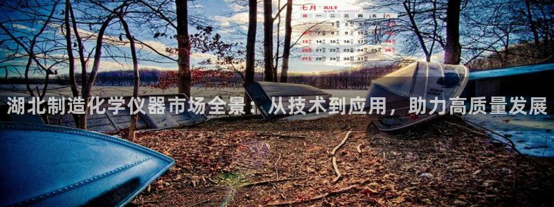 意昂体育3平台假的吗是真的吗：湖北制造化学仪器市场全景：从技