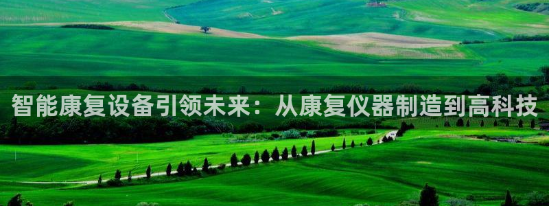 意昂体育3平台是正规平台吗安全吗：智能康复设备引领未来：从康