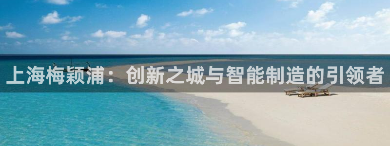 意昂3集团官网首页网址：上海梅颖浦：创新之城与智能制造的引领