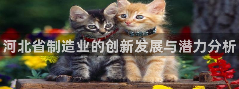 意昂体育3娱乐：河北省制造业的创新发展与潜力分析
