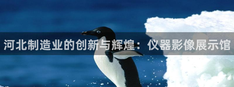 意昂体育3招商电话号码是多少：河北制造业的创新与辉煌：仪器影