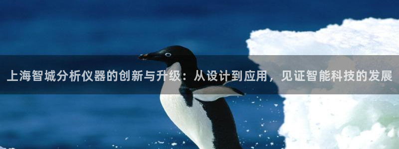意昂体育3是干嘛的公司：上海智城分析仪器的创新与升级：从设计