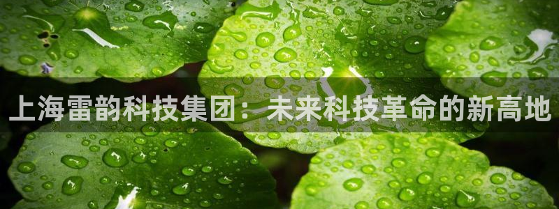 意昂3科技：上海雷韵科技集团：未来科技革命的新高地
