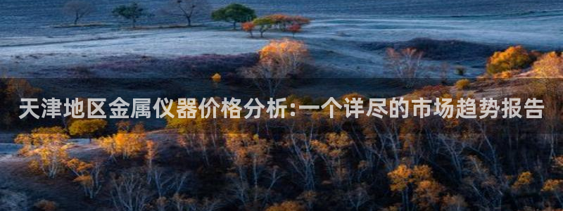 意昂体育3招商电话：天津地区金属仪器价格分析:一个详尽的市场